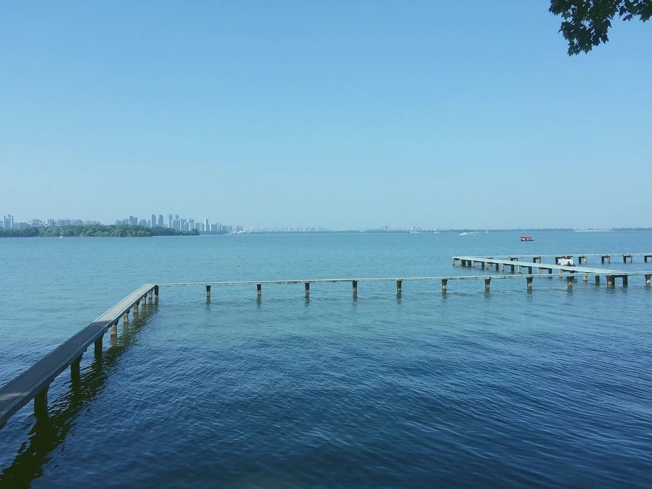 现代诗歌精选300首（优美诗歌欣赏）