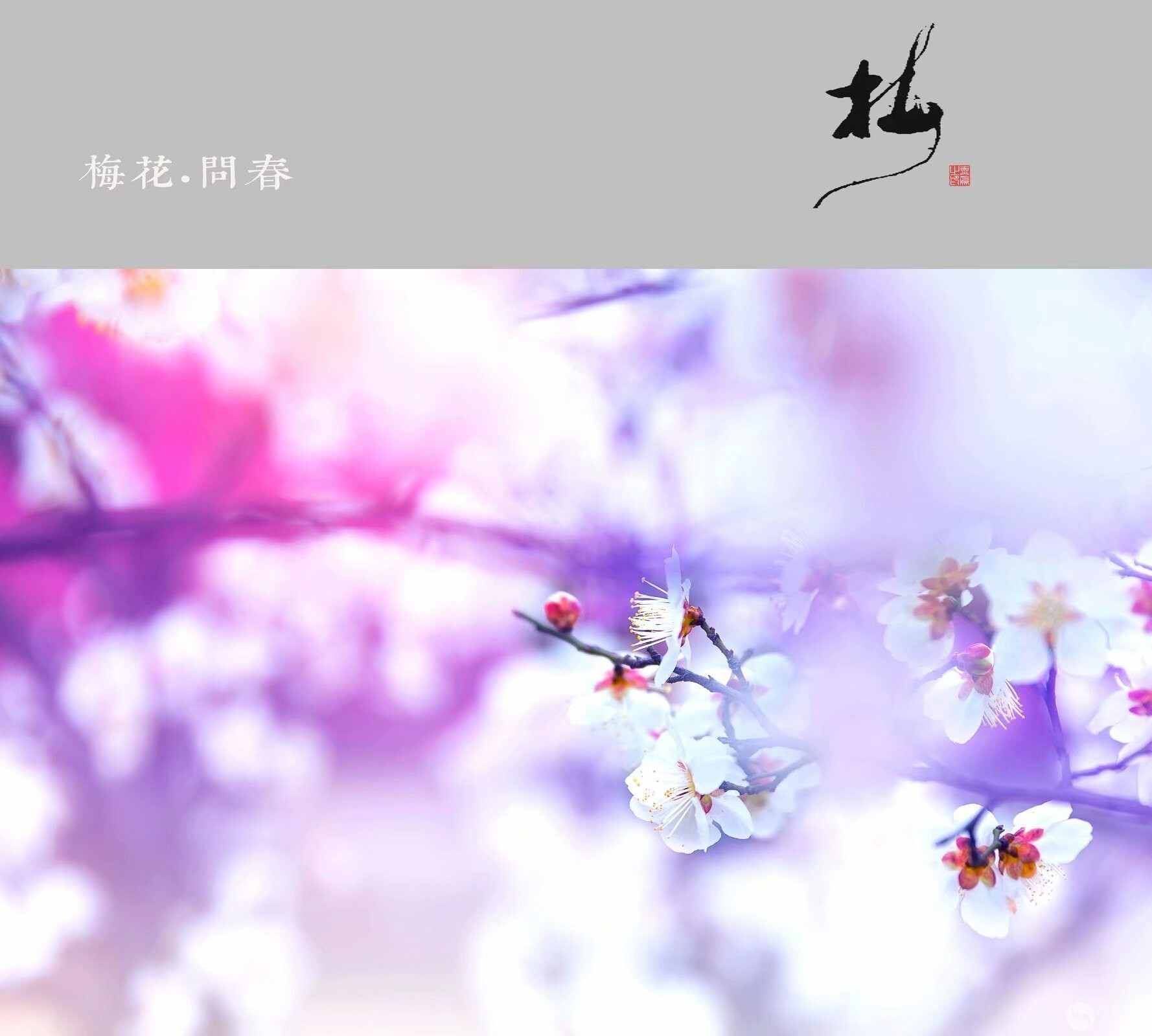 作文提纲格式图片范文（小白必备作文提纲格式大全）