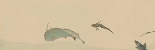 歇菜是什么意思 为什么新发地“歇菜”了?