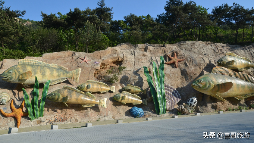 大连有什么好玩的地方（大连旅游必去景点前十）