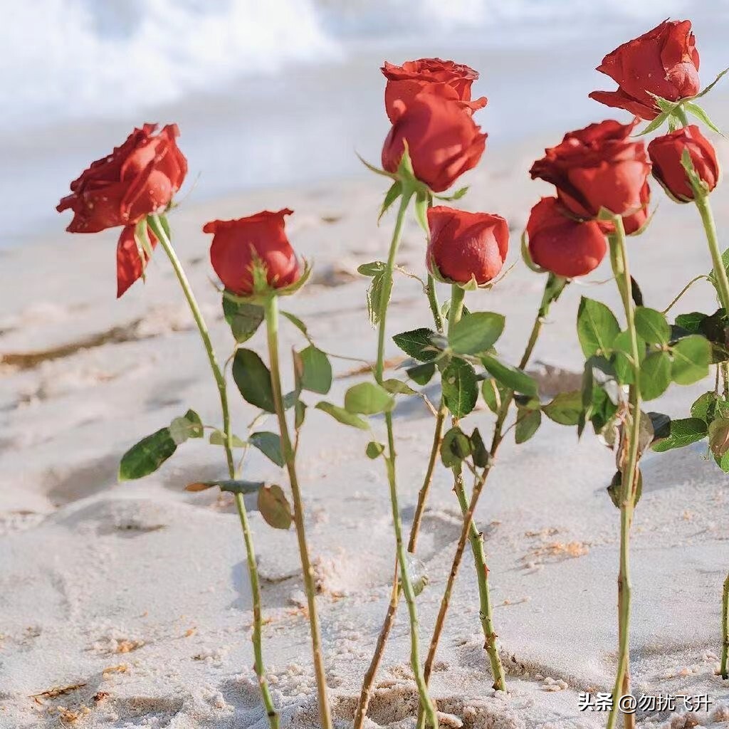 成人用品推广引流方法 保健品怎么推广引流