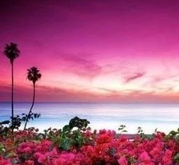 作文提纲格式图片范文（小白必备作文提纲格式大全）