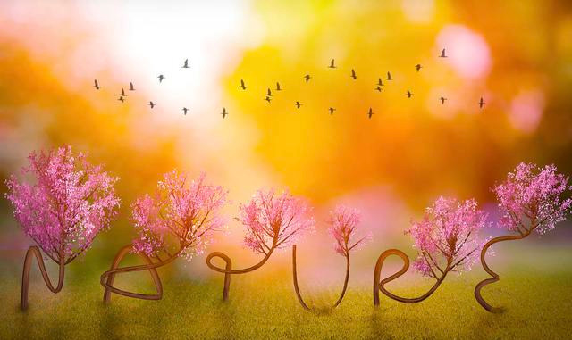 作文提纲格式图片范文（小白必备作文提纲格式大全）