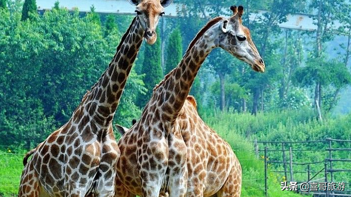 大连有什么好玩的地方（大连旅游必去景点前十）