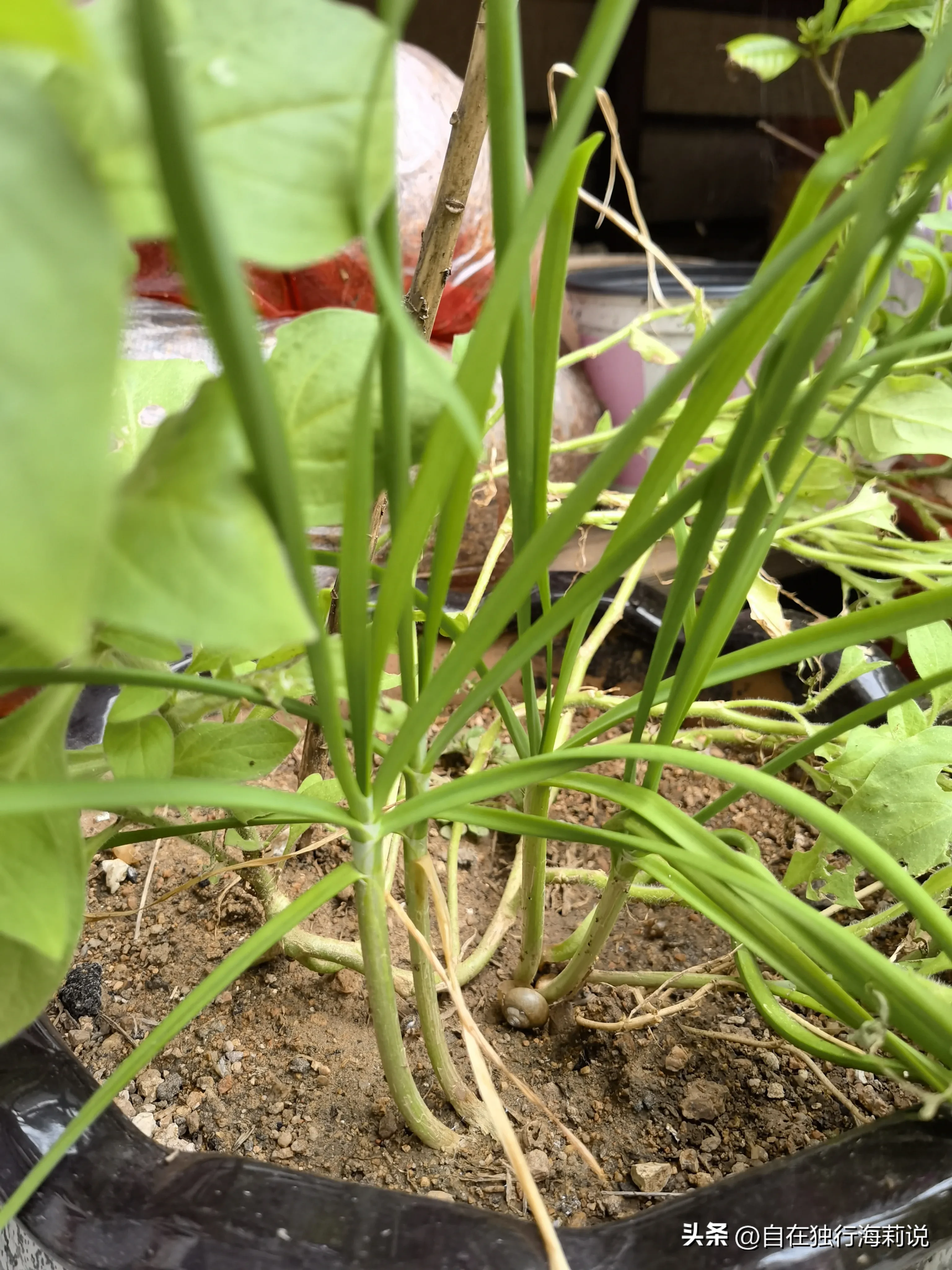 在青岛月入一万能攒下多少钱 青岛月薪一万的人多吗