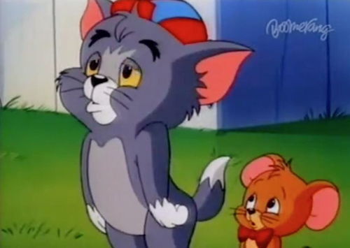 晋江兔区网友交流区,兔区晋江交流区网友留言区