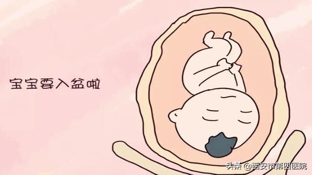 还没足月入盆了是不是快生了