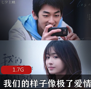 （我们的样子像极了爱情）百度网盘