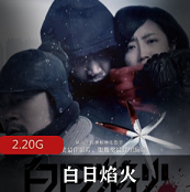 （白日焰火）百度网盘
