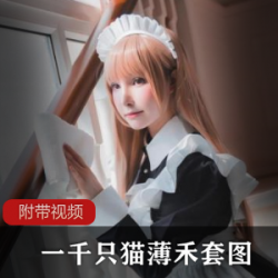 喜欢被包养的跳舞女神《一千只猫薄禾》阿米娅