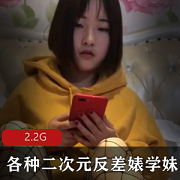 九一大神们的二次元妹妹反差合集