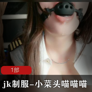jk制服-《小蔡头喵喵喵》