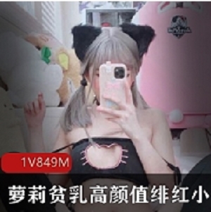 绯红小猫妹子高颜值飞机场合集
