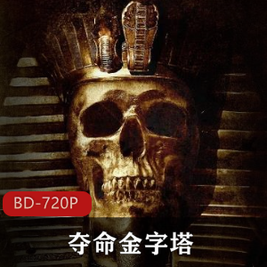 夺命金字塔：经典美国电影，高清中字版，强烈推荐