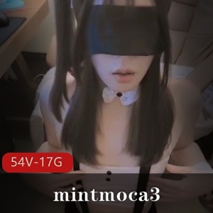 独家合集OnlyFans大雕TSmintmoca3涂油女孩前列腺隆球54V17G下载