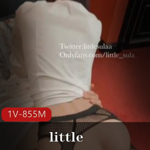 反差女神little圣诞作品：1V855M，烧肉鸡身材资源付费