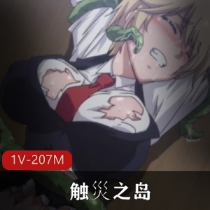 《触灾之岛》24分钟一集,岛国出品,触手动漫,youma,剧情紧凑,下载观看