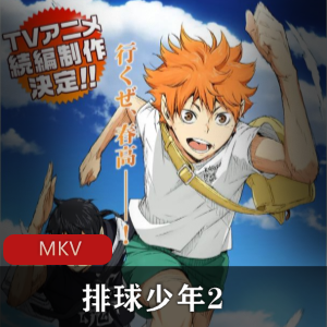 《排球少年2》粤语中字全集免费下载，动画制作精美，高中主角追逐梦想的故事