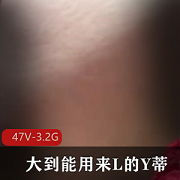 国家资源合集-47V-3.2G小视频合集，双X人必备！