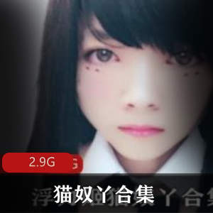 推特猫奴丫资源合集:2.9G视频,包含公交展示等精彩内容