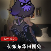 东华田园兔：精品红人伪娘的高清视频作品