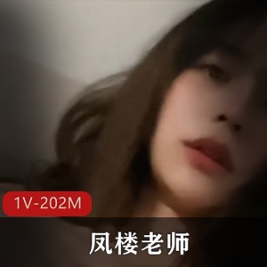 凤楼老师：吹拉弹唱车灯技术视频1V202M