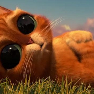 《穿靴子的猫2》：靴猫剑客新冒险，2022年9月23日上映