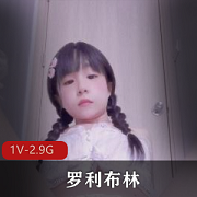 罗利布林男同高耐妗面视频下载，1V-2.9G，小伙伴必看