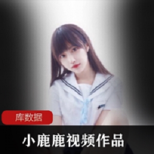 网红小鹿鹿加藤惠作品合集，11.6G视频精彩无圣光