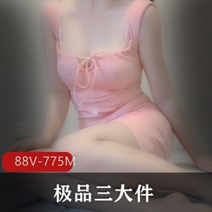 网红少女身材女仆黑丝视频88个V共775M热辣发烧必看