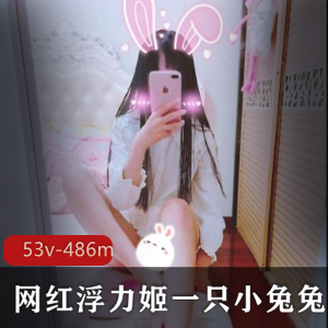 神秘美女一只小兔兔合集,浮力姬稀缺宝藏,大小约53兆