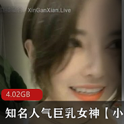 小雅小雅高颜值巨R女神主播合集作品，4.02视频大小，外网土豪钟点房醉猫奶牛型美人