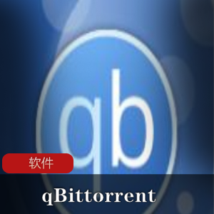 qbittorrent中文绿色增强版:简单快捷,下载工具给力