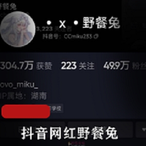 野餐兔:抖音网红私拍视频资源,舞蹈变装全纪录