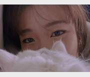 HONGKONG-DOLL玩偶姐姐爆裂黑丝视频作品1V，531M，网友热议