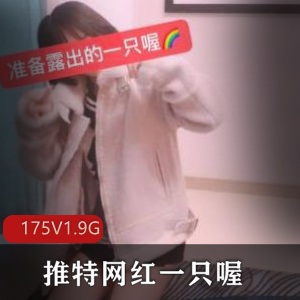 抖音超萌网红妹子作品资源175V，1.9G