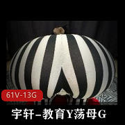 宇轩老师的高清4K教育资源：61V-13G视频全收录，异物扩张工具一应俱全