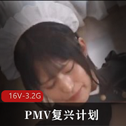 亚洲节选：PMV复兴计划，藏经阁特拍，新年精品，自拍16V-3.2G剪辑八神摇