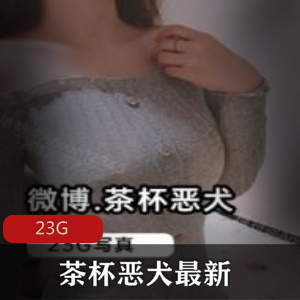 23G视频全系列资源：微博女神茶杯恶犬童颜巨兔御姐美腿水蛇腰