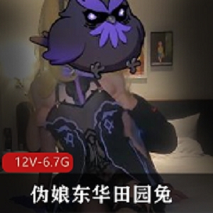 东华田园兔：精品红人伪娘的高清视频作品