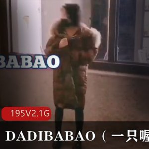 社保姬DADIBABAO私拍合集：195个视频2.1G，展示三洞捆绑有趣内衣