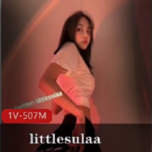 littlesulaa徐特立一线系列颜值身材反差婊玩法百度云下载507MB
