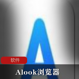 Alook浏览器2.8.0安卓专用版：极简无广告，全页翻译，音频视频悬浮