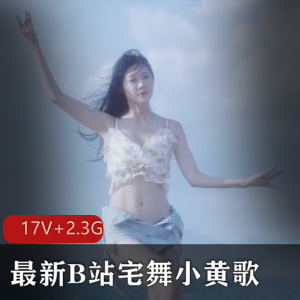 超火宅舞小黄歌改编版，韵味悄悄话尴尬笑话！视频大小：17V-2.3G