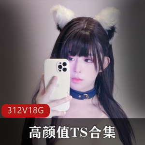 高颜值TS合集312V，18.4G，TS李智贤、TSdingkubel等露脸TS，推特OnlyFans必收！