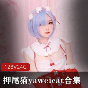 PR社抖音妹子美少女押猫尾128套cos集+私房视频24.1G资源