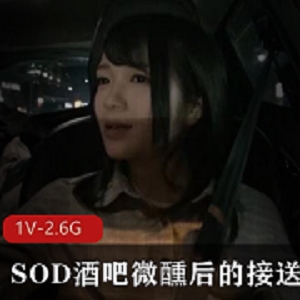 南梨央奈1V-2.6G微醺素颜用嘴爆C颜S视频