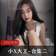 30V10.5G丝足小X大王羞R榨J合集长视频