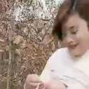 YD妻子在小树林拾柴老人自拍猎奇，开心观看下载-1V-248M