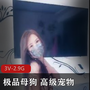 3V-2.9G高级宠物失眠跪舔饮尿狗链教育自拍时长微信认识已婚妻子